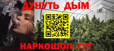 сатива Кулебаки