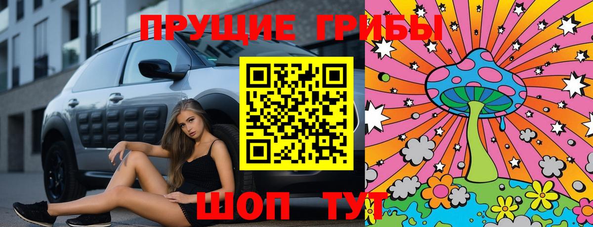 Псилоцибиновые грибы MAGIC MUSHROOMS  Вход с VPN  Галлюциногенные грибы Magic Shrooms  Качканар 